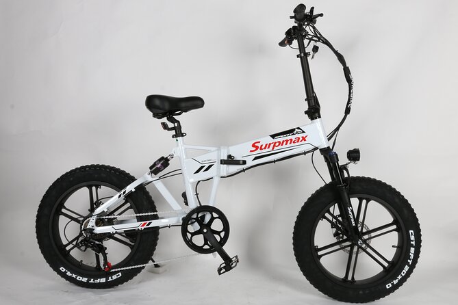 E-Bike Rentals in NYC - Details of the Activity