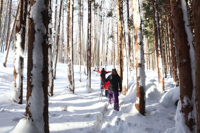 【5 Minutes From Water Ic】 Snow Trekking Half-Day Tour to Enjoy Japanese Snowscapes - Activities and Experiences