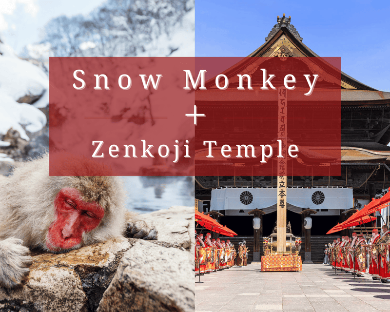【Private】[Snow Monkey Park+Zenkoji Temple] From Nagano/Myoko - Highlights of the Jigokudani Snow Monkey Park