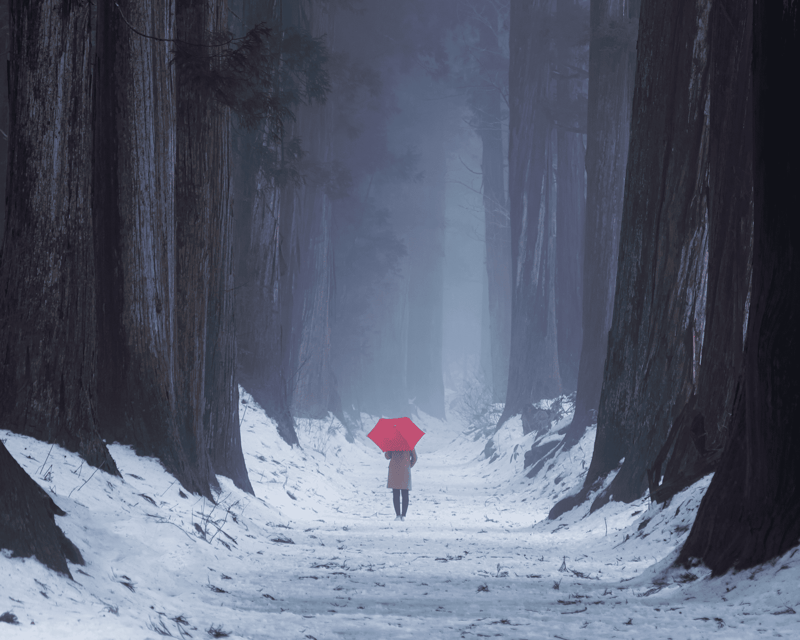 【Private】[Snow Monkey + Togakushi Shrine] From Nagano/Myoko - Itinerary Highlights