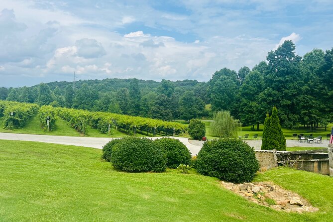Elijay Three Vineyards Private Wine Tasting Tour From Atlanta - Discovering Canoe Vineyards