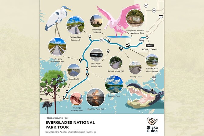 Everglades National Park Audio Tour Guide - Booking and Access