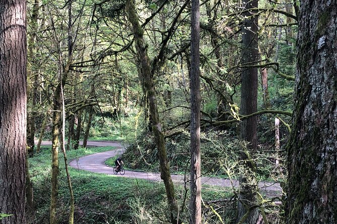 Forest Park Carbon Gravel Bike and E-Bike Tour - Meeting and Pickup Information