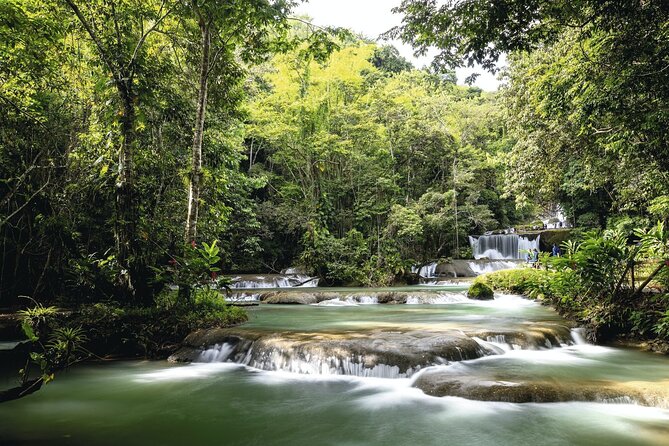 Full Day Appleton Rum YS Falls & Pelican Bar Group Tour - Inclusions