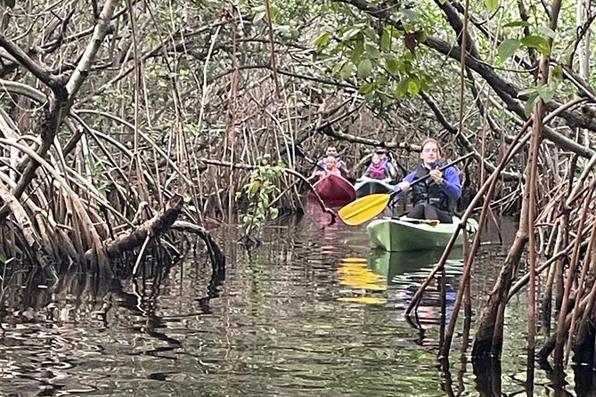 Full Day Everglades Combo Motorboat Eco and Kayak Tour - Inclusions