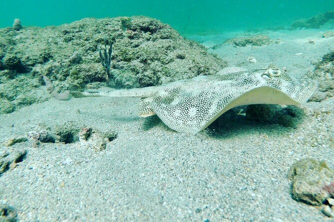 Guided Reef Snorkeling Tour Review in Pompano Beach - What the Tour Price Includes