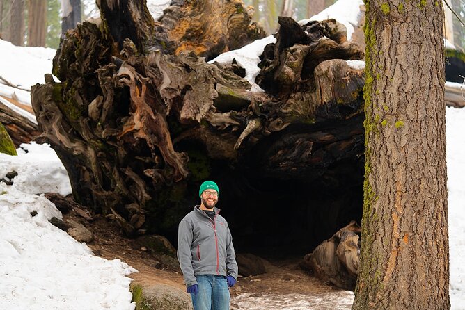 Heart of the Giant Forest Hike Review - Experience and Highlights of the Tour