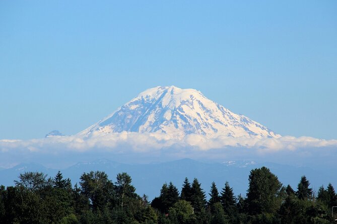 Hiking in Mount Rainier Private Tour From Seattle - Pickup Information