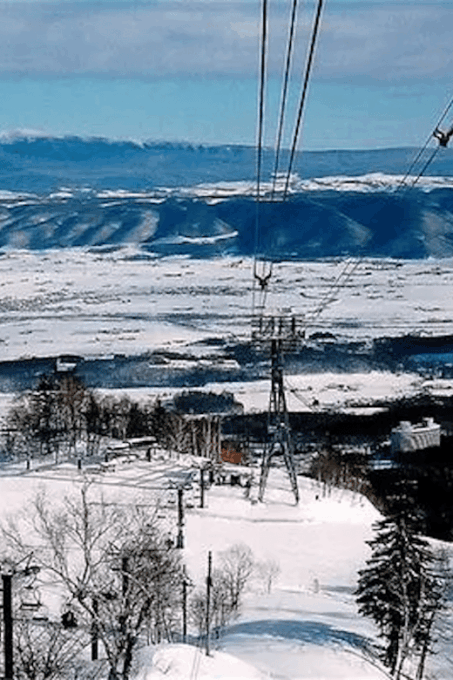 Hokkaido 10-Hour Chartered Day Trip｜Furano - FAQ