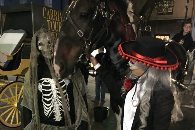 Horse Drawn Ghost and Folklore Tour Review - Meeting Point Details and What to Expect