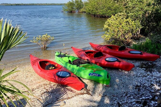 Indian River Lagoon Preserve Kayak Tour - Inclusions