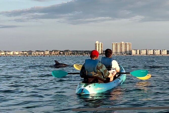 Kayak Dolphin Experience in Virginia Beach Must Know How to Swim - Location and Meeting Point
