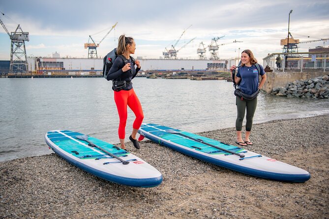 Kayak Or Paddle Board Tour on the San Francisco Bay - Kayak vs. Paddle Board
