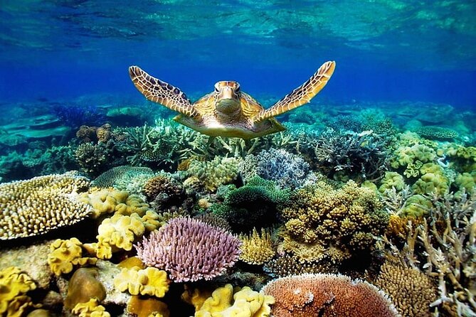 Key Largo Coral Reef Park and Sunset Celebration - Witness the Sunset Celebration