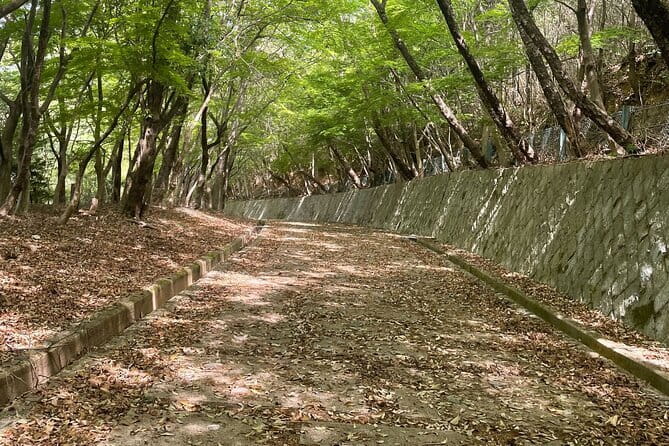 Kyoto Arashiyama Bamboo Forest Hidden Hiking Tour - Visiting the Adashino Nenbutsu-ji Temple