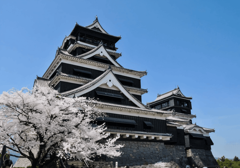 Kyushu 9-Hour Chartered Day Trip｜ Kumamoto - Itinerary and Highlights