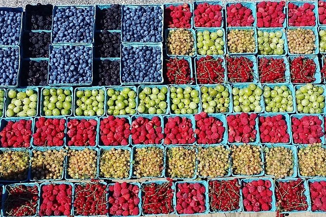 Lewin Farms, Lavender By The Bay and Tanger Outlets Full-Day Tour - Pricing and Inclusions