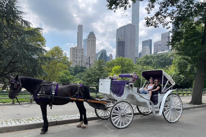 Luxury Horse and Carriage Tours Review - Booking Process and Flexibility
