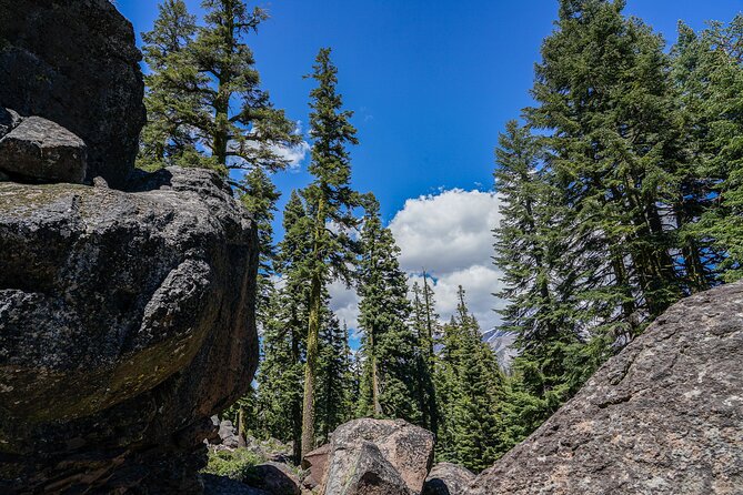Mount Shasta Guided Tour Review - What to Expect: Activities and Itinerary