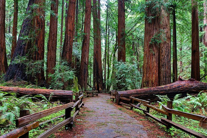 Muir Woods With Napa & Sonoma Wine Tour + Alcatraz & Aquarium Access - Day 1: Alcatraz and Aquarium