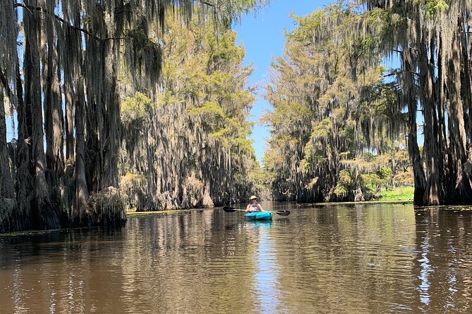 Mystical Private Kayak and Canoe Tours on Caddo Lake - Meeting Point and Accessibility