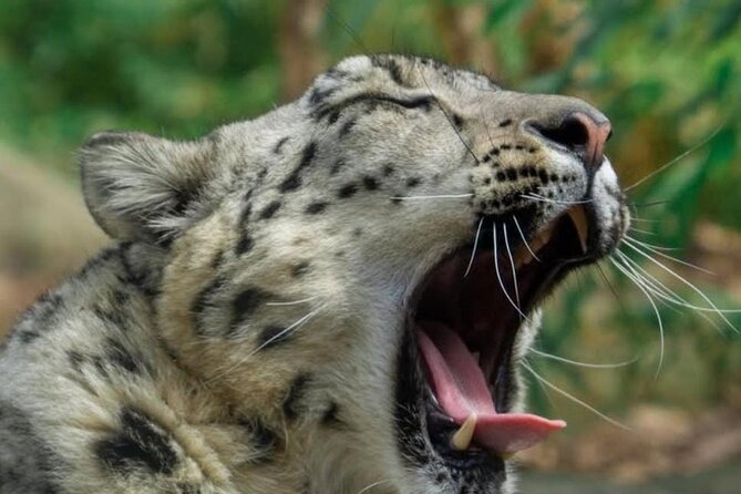 New York Central Park Zoo Ticket - Booking and Confirmation