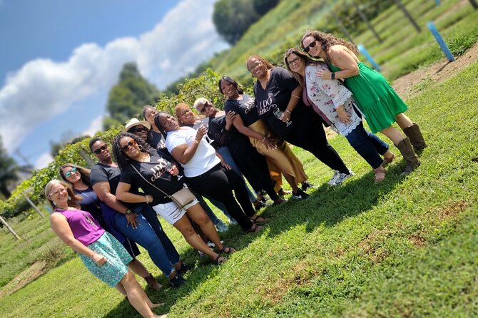 North Georgia Mountains Three Vineyard Wine Tasting Tour - Meeting and Pickup