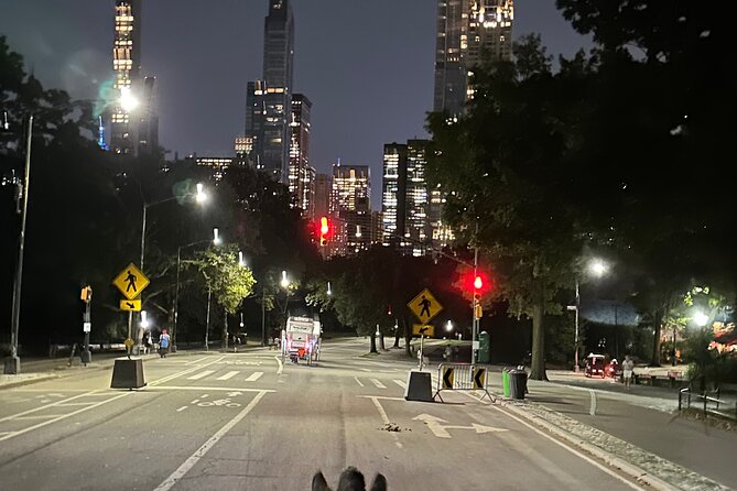 NYC Empire State Horses Carriage Ride in Central Park(55 Min) - Meeting and Pickup Information