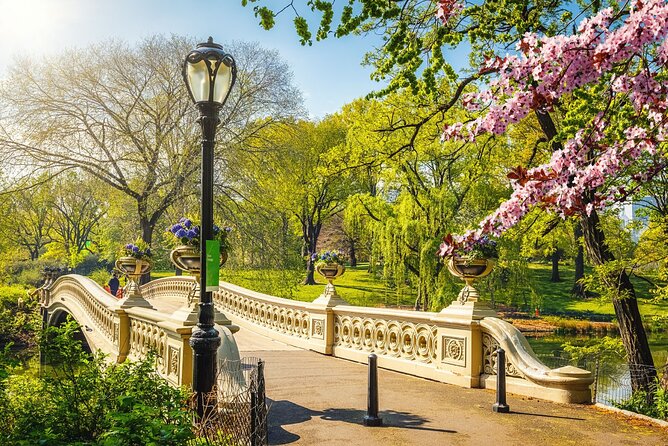 NYC Sightseeing Day Trip Review - Transportation and Comfort on the Bus