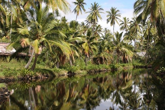 One-Day Tour Hawaii Movie Tour: Island Hopping From Oahu to Kauai - Logistics and Transportation