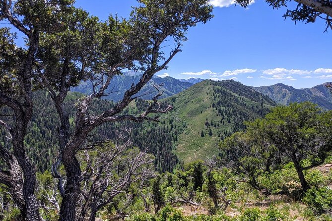 Park City Hiking Activity With Local Guide - Meeting and Pickup Details
