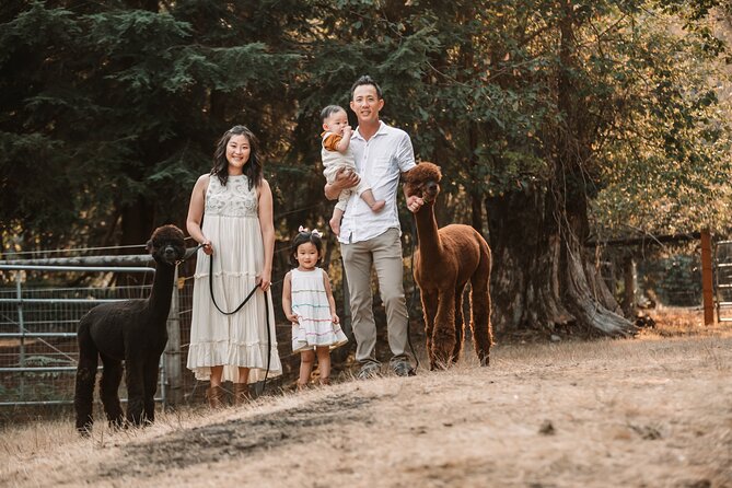 Photoshoot With Alpacas and Farm Experience Near Seattle - Schedule and Availability of the Experience