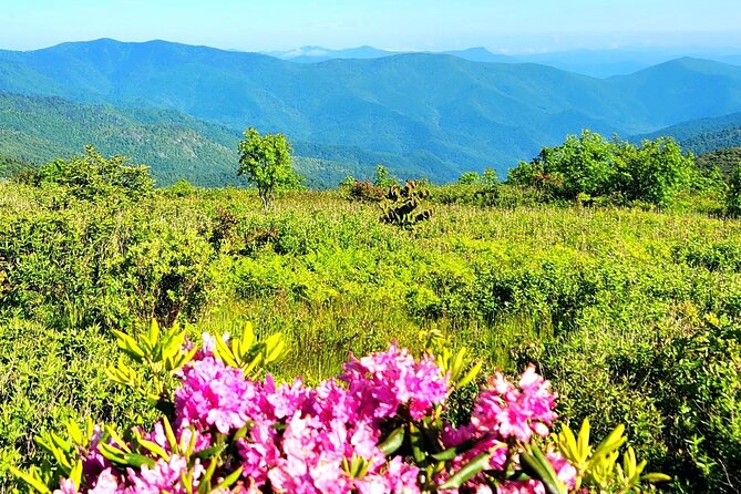 Private Child-Focused Blue Ridge Mountains Tour - Meeting and End Points
