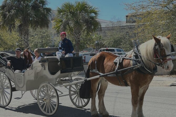 Private Evening Haunted History Carriage Tour in Charleston - Inclusions