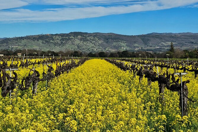Private Group Wine Tour of Napa Valley - Pickup and Drop-off Details