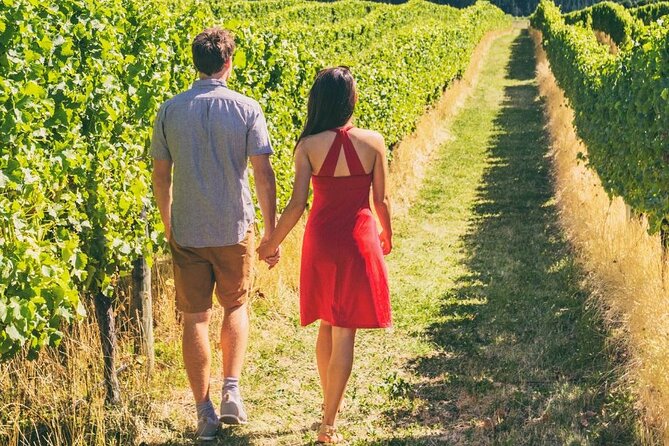 Private Group Wine Tours in Napa Valley - Inclusions