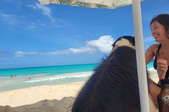 Private Hiking and Beaches Tour Review - Details on Pickup and Transportation