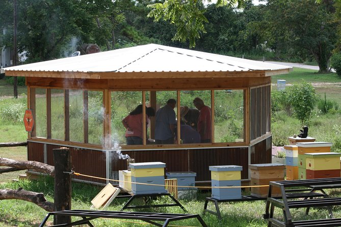 Private Hive Tour Review: Buzzing Experience - Details of the Private Hive Tour