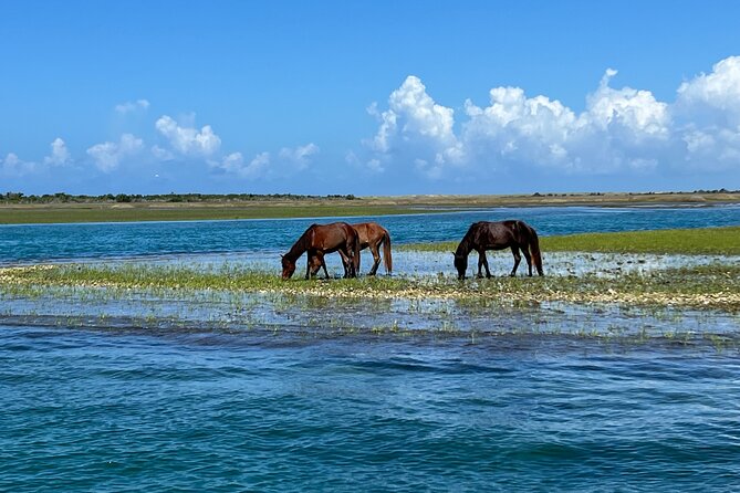 Private Island Eco Tours Review - What to Expect From a Private Boat Tour