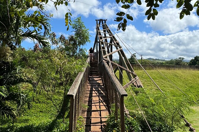 Private Kauai Island Tour : Waimea Canyon, Kalalau Lookout + More - Included in the Tour