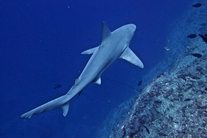 Private Ni'ihau Scenic Snorkel - Meeting and Pickup