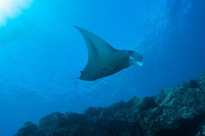 Private Niihau Scuba Charter With 2 or 3 Tank Dive Option - Meeting Details