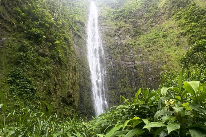Private Pipiwai Trail Maui Open-Air Jeep Tour - Pickup and Transportation Details