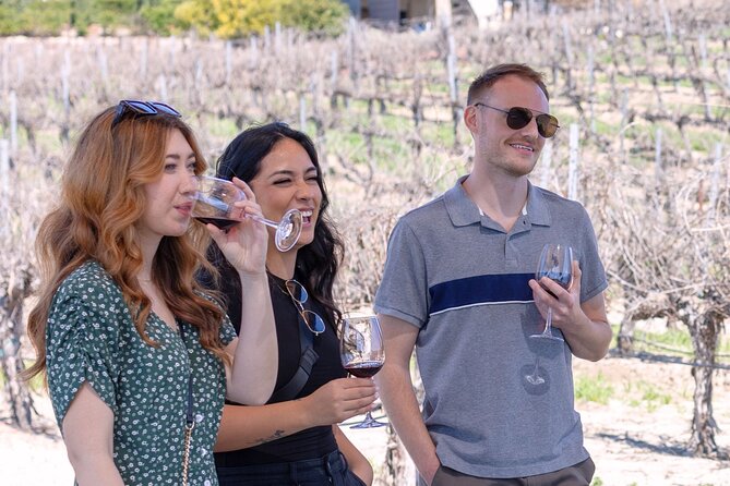 Private Temecula Valley Four-Hour Wine Tasting Adventure - Transportation and Pickup