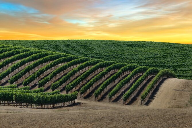 Private Tour Napa and Sonoma Valley Wine - Inclusions