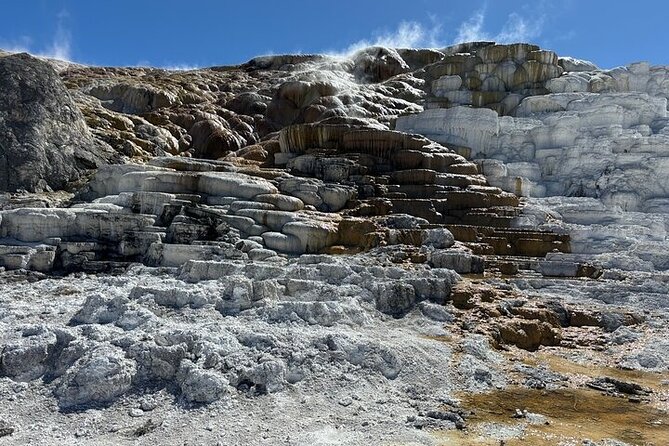 Private Yellowstone Park Van Tours From Bozeman - Inclusions and Amenities