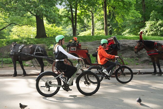 Rent an E Bike in Central Park! - Rental Inclusions