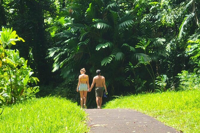 Road to Hana Full Day Tour Review - Whats Included: Amenities and Meals