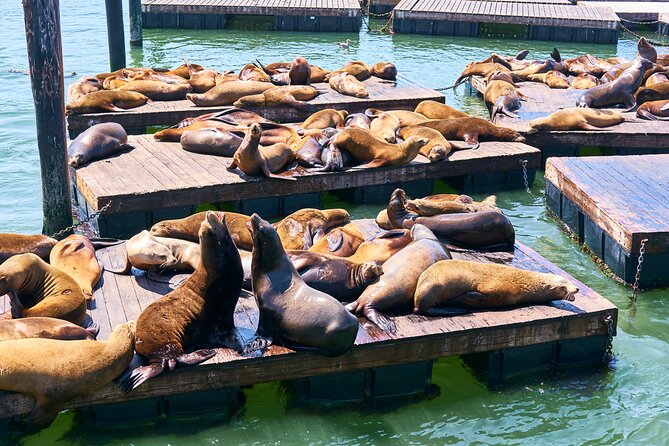 San Francisco Uncovered Self-Guided Adventure - Discovering the Embarcadero Waterfront