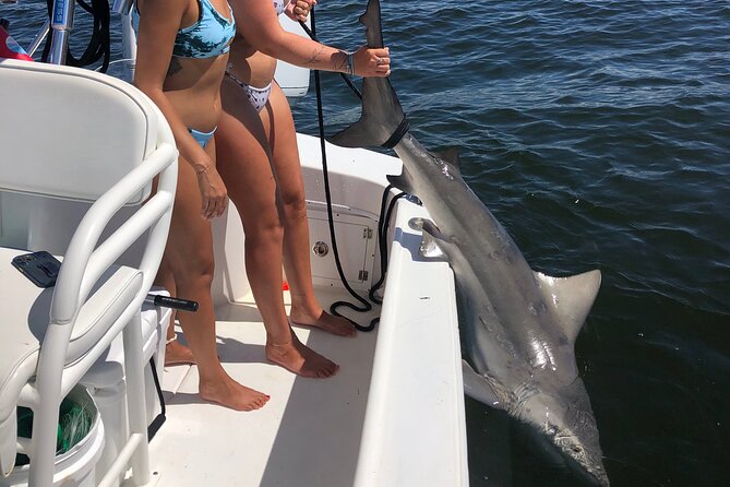 Shark Fishing Tampa Bay - Whats Included